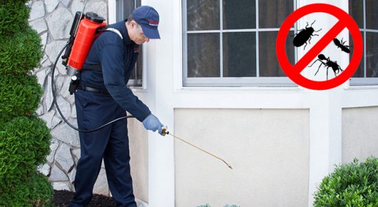Evka 6 Tahtakurusu İlaçlama böcek ilaçlama ve haşere kontrolü — ilaclama-tr.com